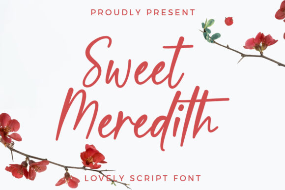Sweet Meredith: A Charming Script for Elegant Projects
