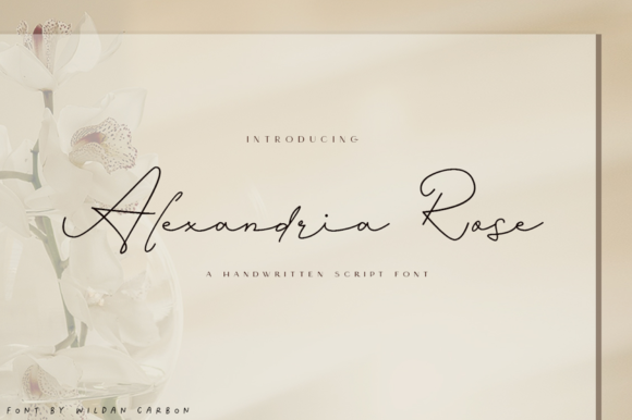 Transform Your Brand with Alexandria Rose Font